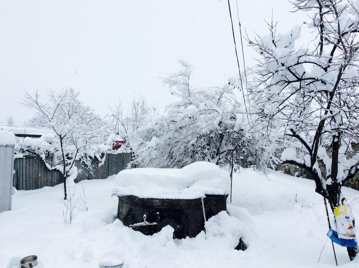 ŞǝkiHouse On Ashiq Cuma Street 8住宿加早餐旅馆 外观 照片