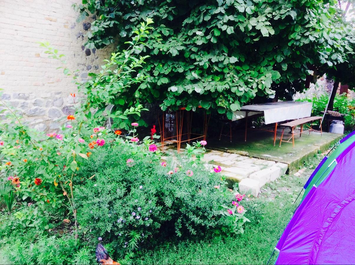 ŞǝkiHouse On Ashiq Cuma Street 8住宿加早餐旅馆 外观 照片